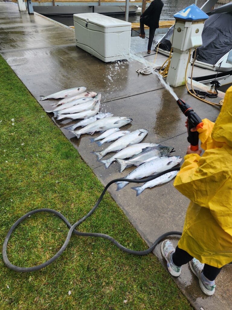 Fishing Turned On in Saugatuck • Lake Michigan Charter Fishing